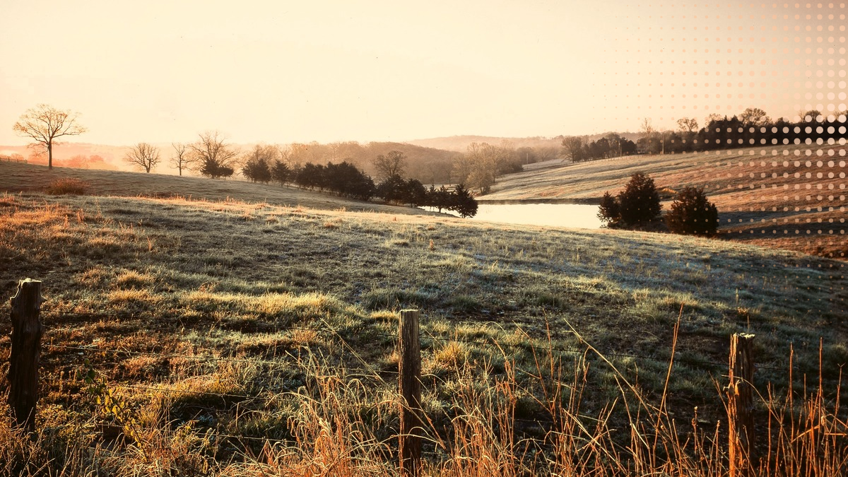 Farm valley at dawn in rural Missouri (photo: AJ Wallace, Unsplash)